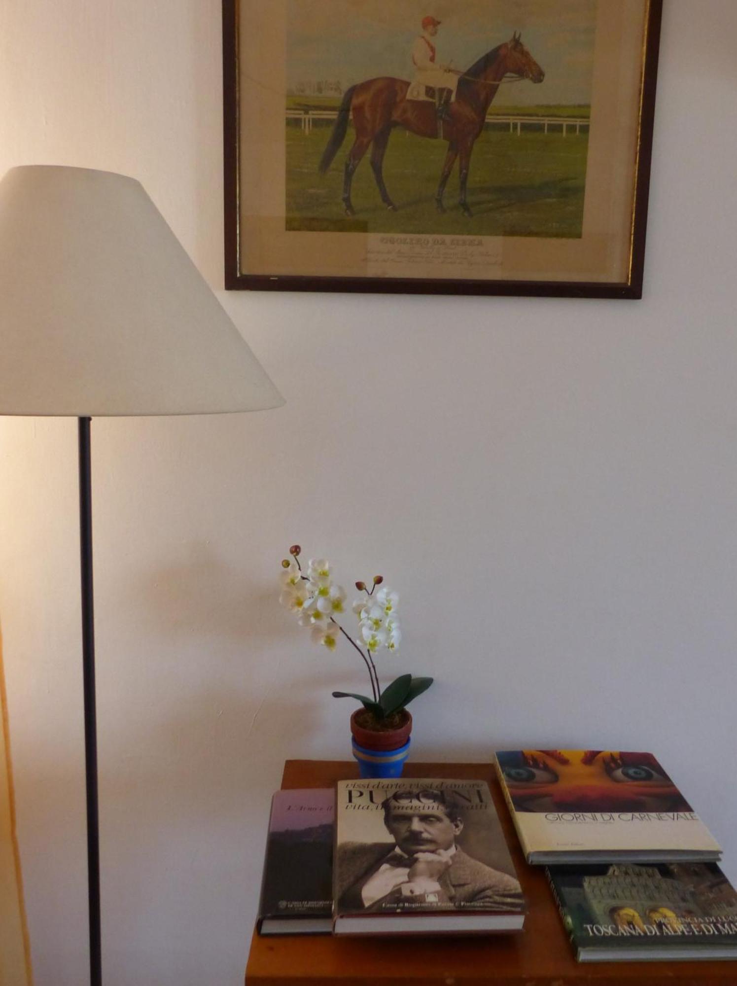 La Casa Di Silvia Apartman Massarosa Kültér fotó